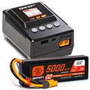 Losi 1/4 Promoto-SM FXR Supermoto