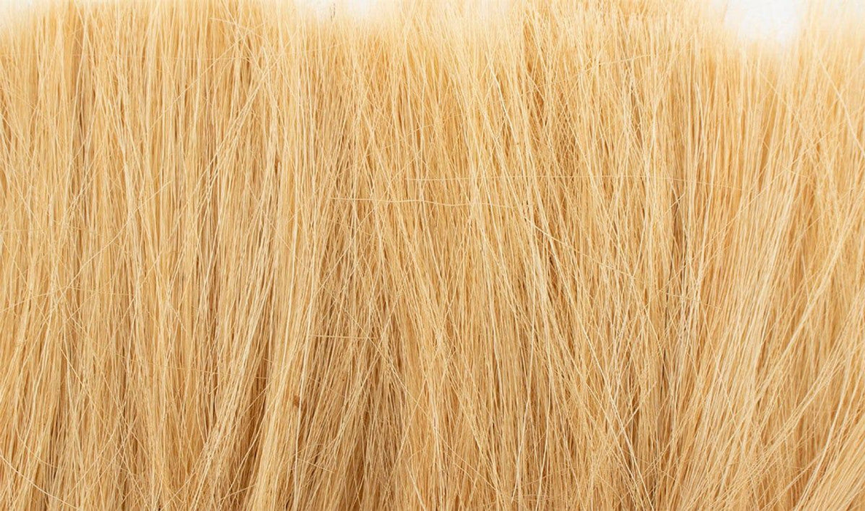 AGT Gold Tall Grass - G6507