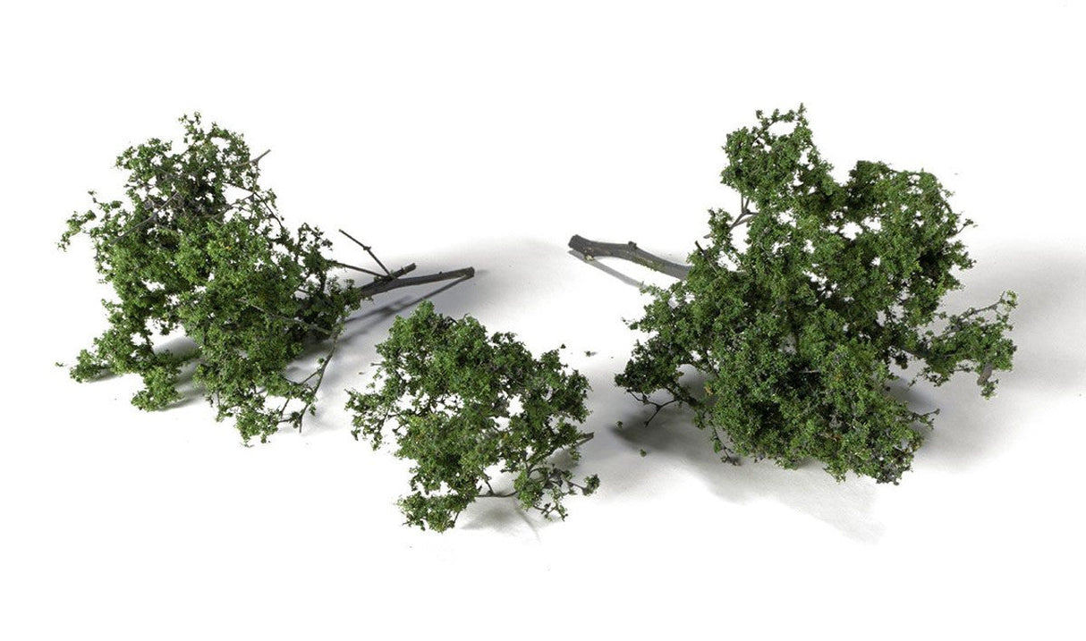 AGT Spring Brambles - G6481