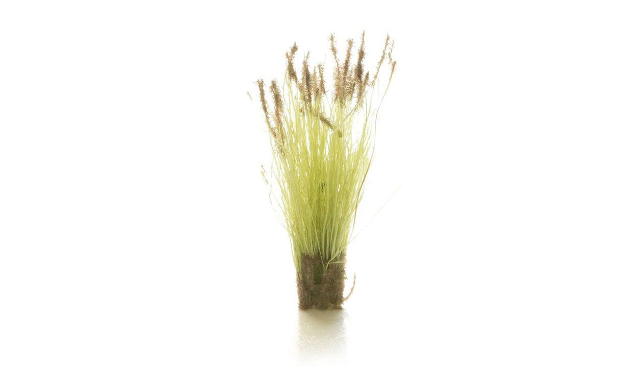 AGT Cattails Tufts - G6633