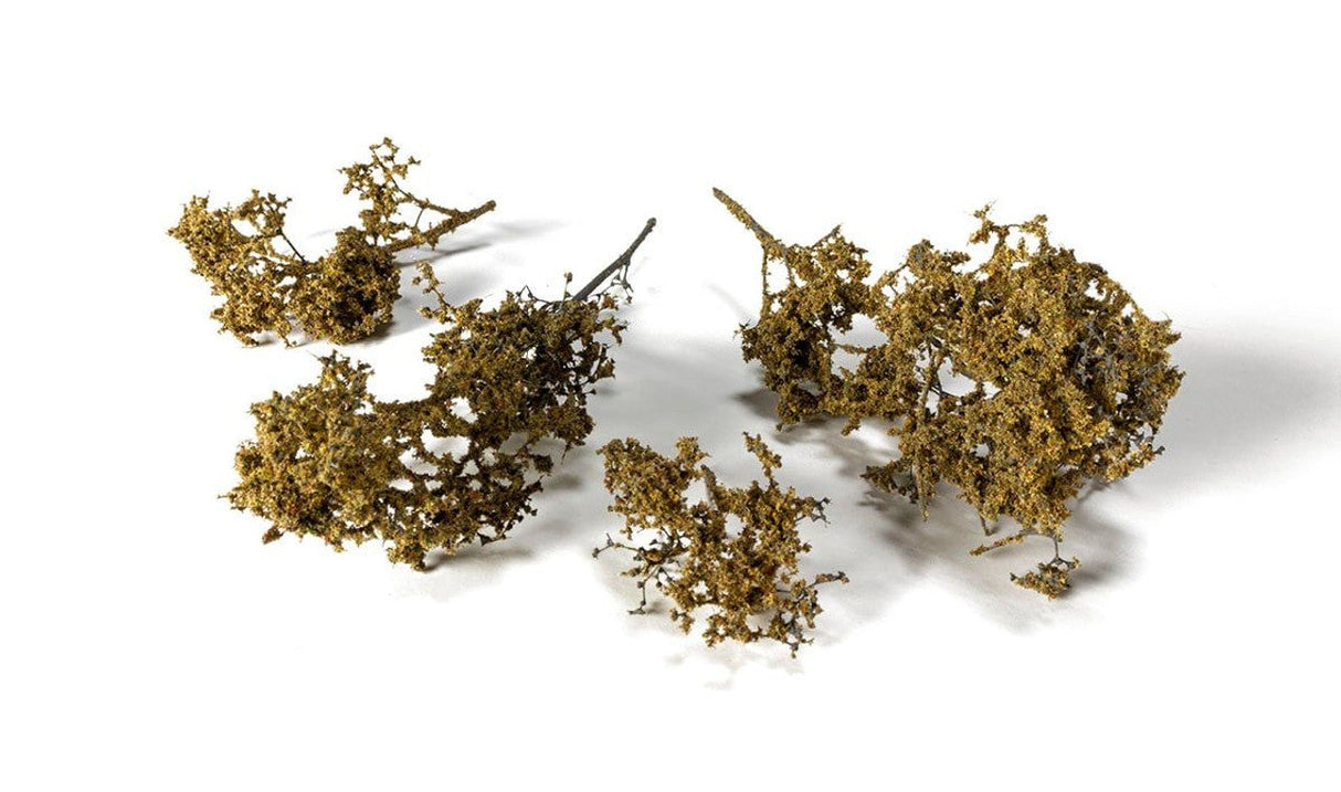 AGT Fall Brambles - G6480